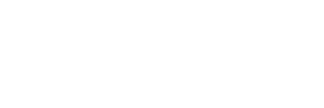 Wiserfunding case study